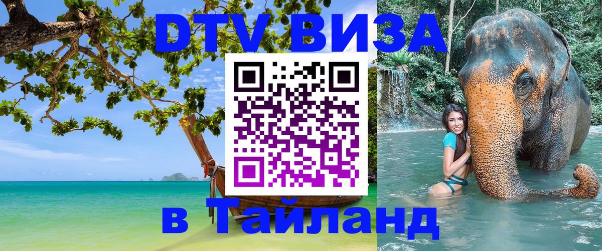 Оформление DTV визы под ключ: стоимость и тарифы, только загранпаспорт - 